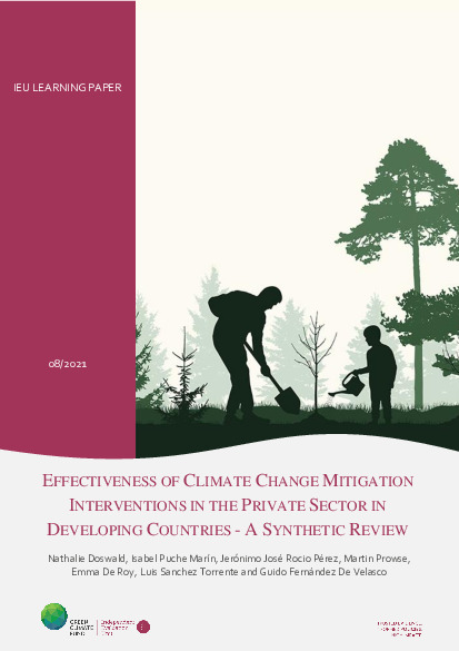 Document cover for Effectiveness of Climate Change Mitigation Interventions in the Private Sector in Developing Countries - A Synthetic Review