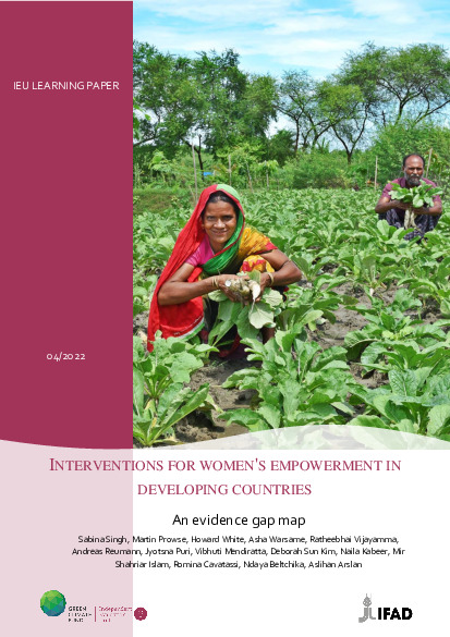 Document cover for Interventions for women's empowerment in developing countries: An evidence gap map