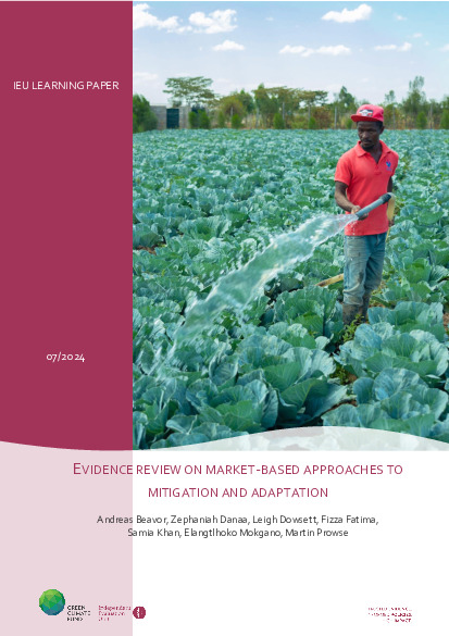 Document cover for Synthetic review: Evidence review on market-based approaches to mitigation and adaptation