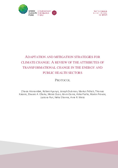 Document cover for Protocol: A review of the attributes of transformational change in the energy and public health sectors