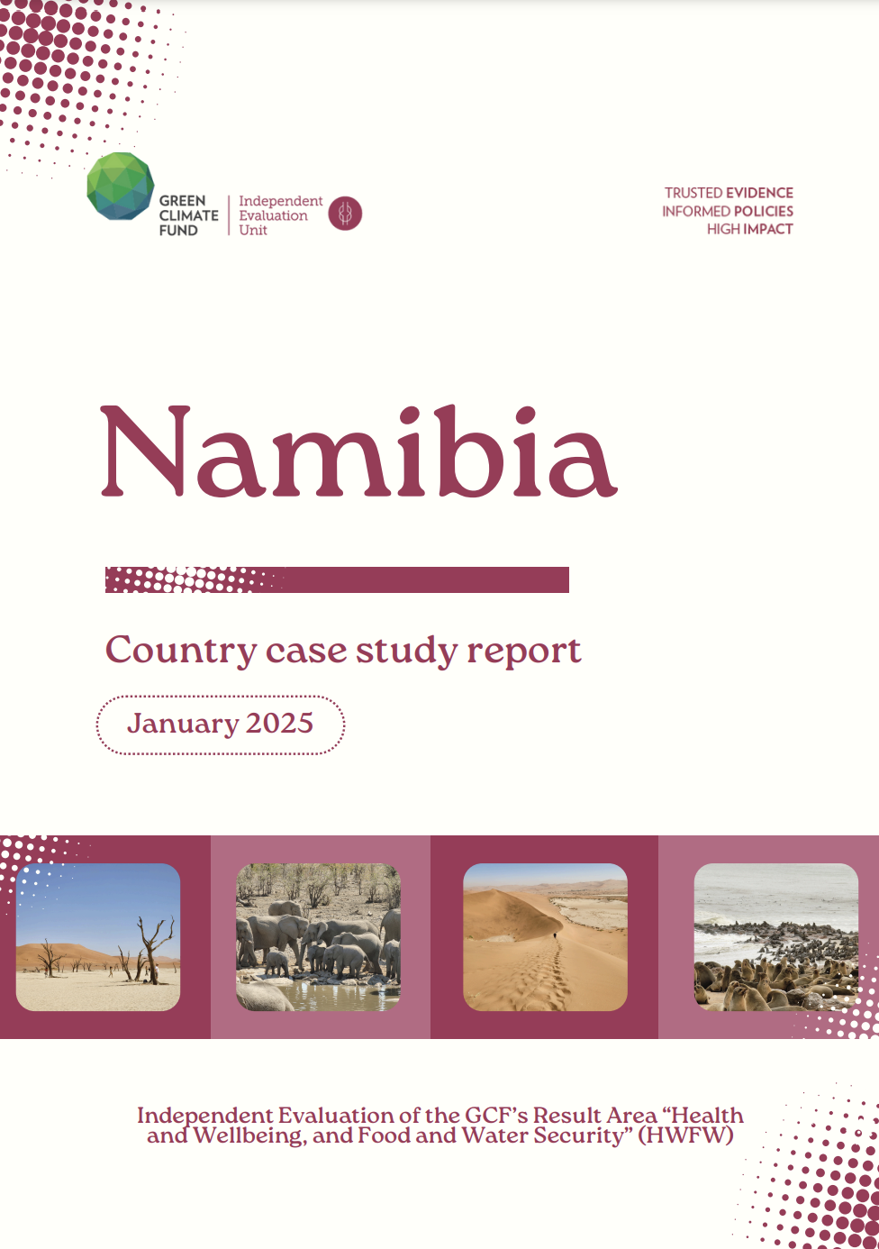 Document cover for Country case study: Namibia