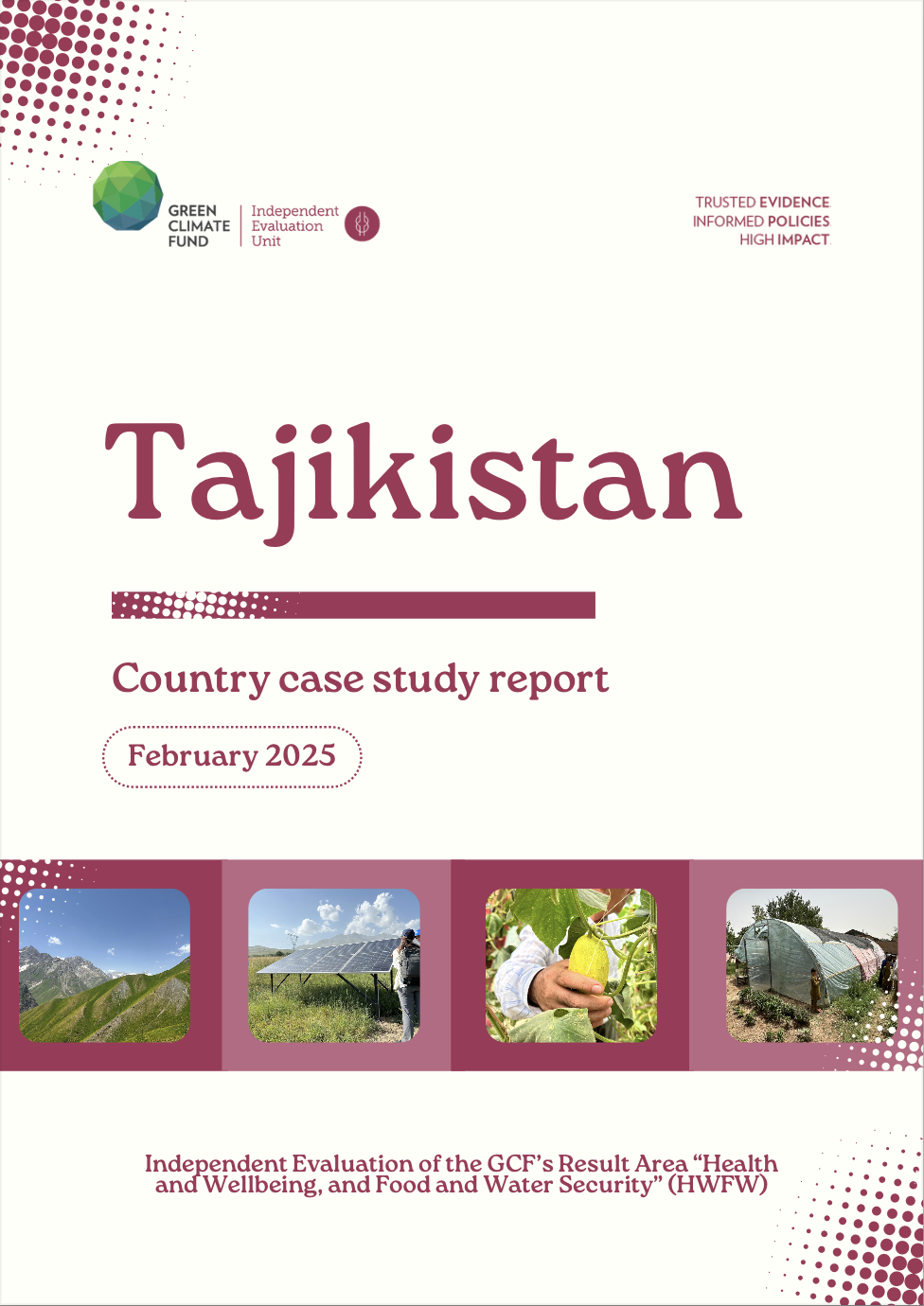 Document cover for Country case study: Tajikistan (HWFW2024)