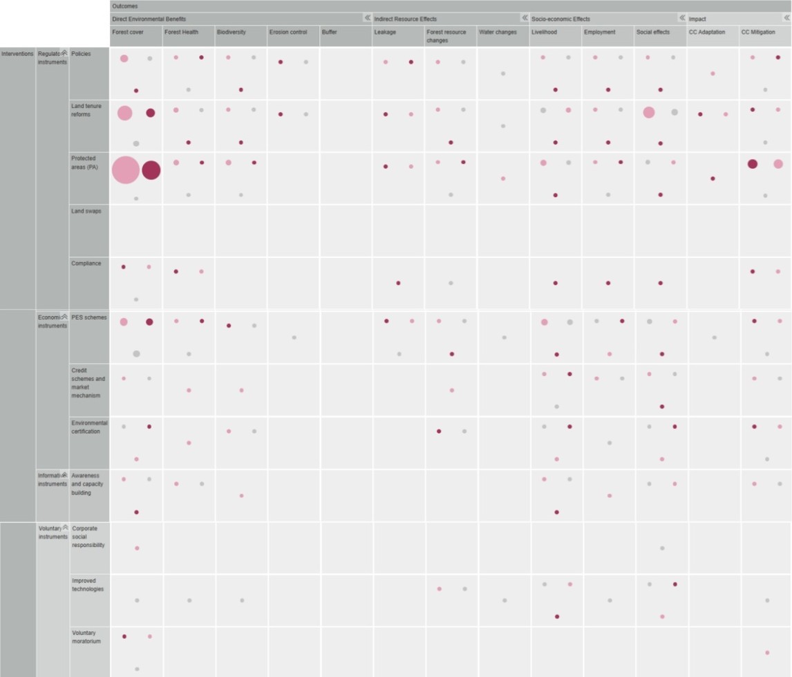Document cover for An Evidence Gap Map on Forest Conservation