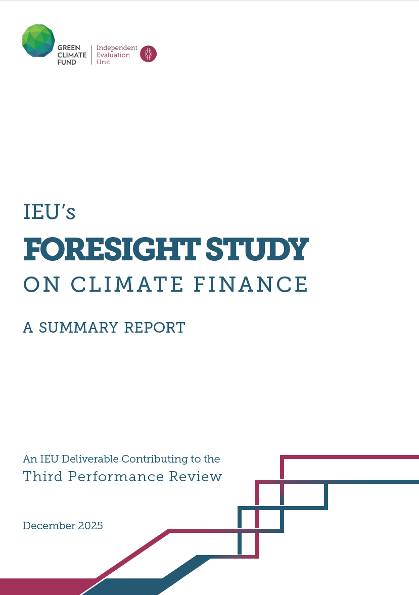 Download IEU's Foresight Study on Climate Finance: A Summary Report Document cover for IEU's Foresight Study on Climate Finance: A Summary Report