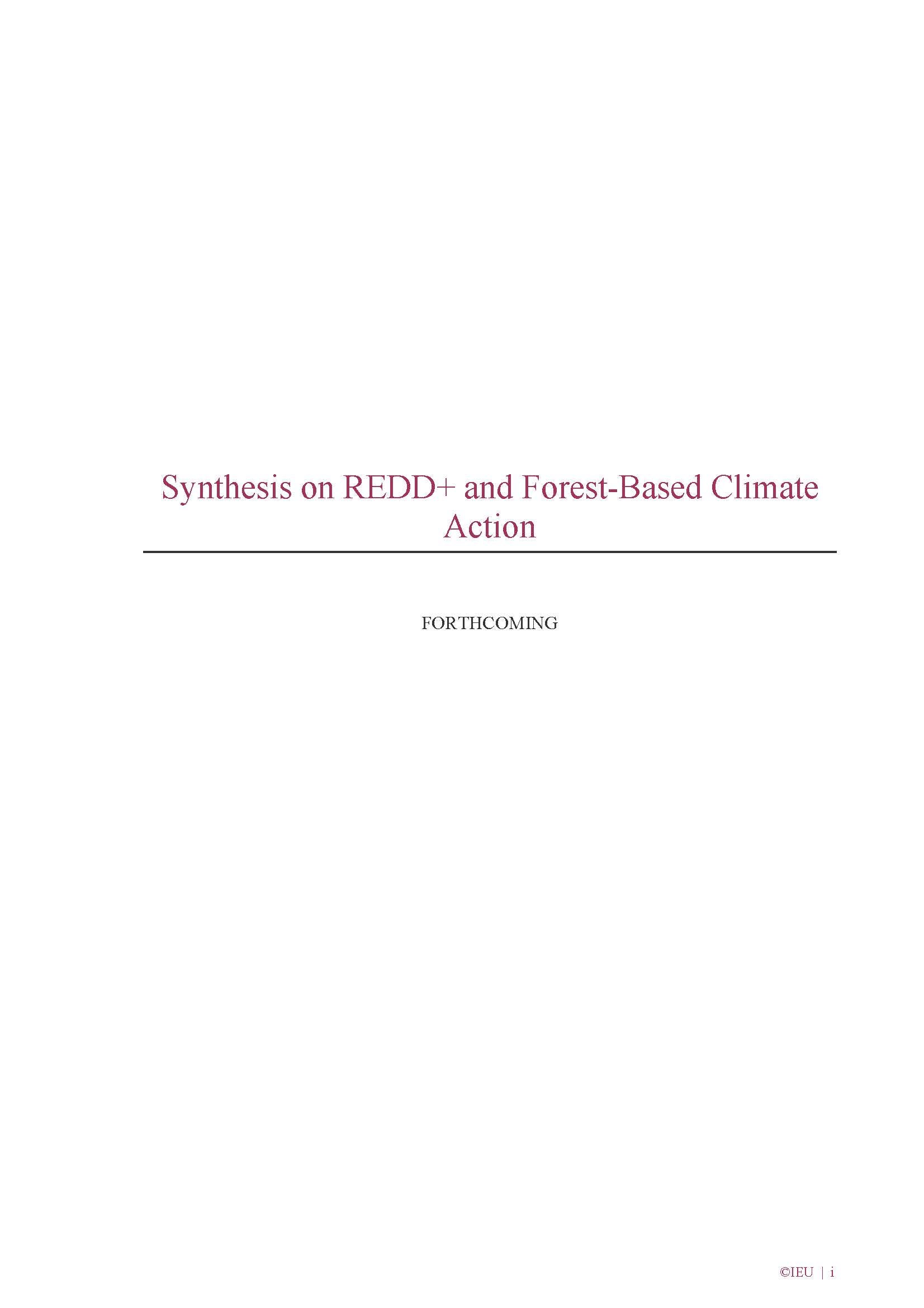 Download Synthesis on REDD+ and Forest-Based Climate Action Document cover for Synthesis on REDD+ and Forest-Based Climate Action