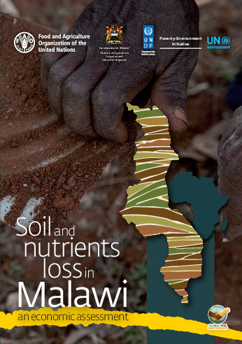 Document cover for Soil and nutrients loss in Malawi: an economic assessment