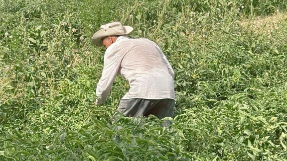 The day’s sweltering heat was unbearable for us the visitors and the locals.