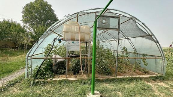 A greenhouse that was installed as part of a GCF’s project in Tajikistan. At the time of our visit in late June 2024.