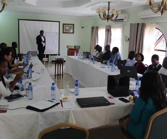 UNDP’s Dr. Babatunde Abidoye speaking at the LORTA workshop